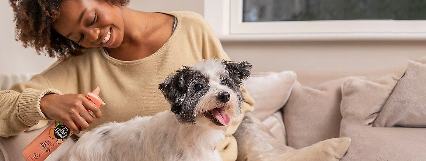 Pet